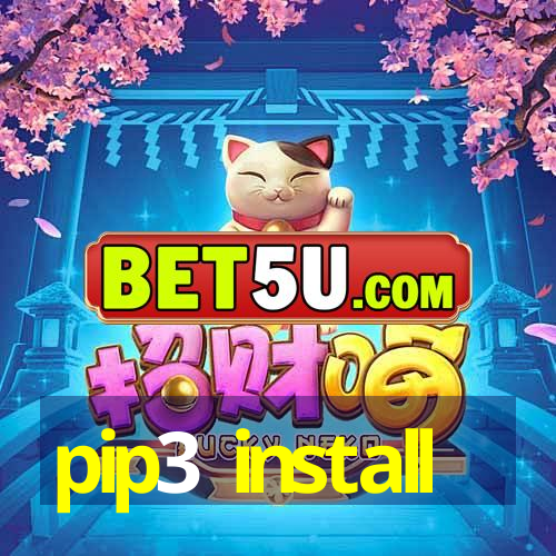 pip3 install